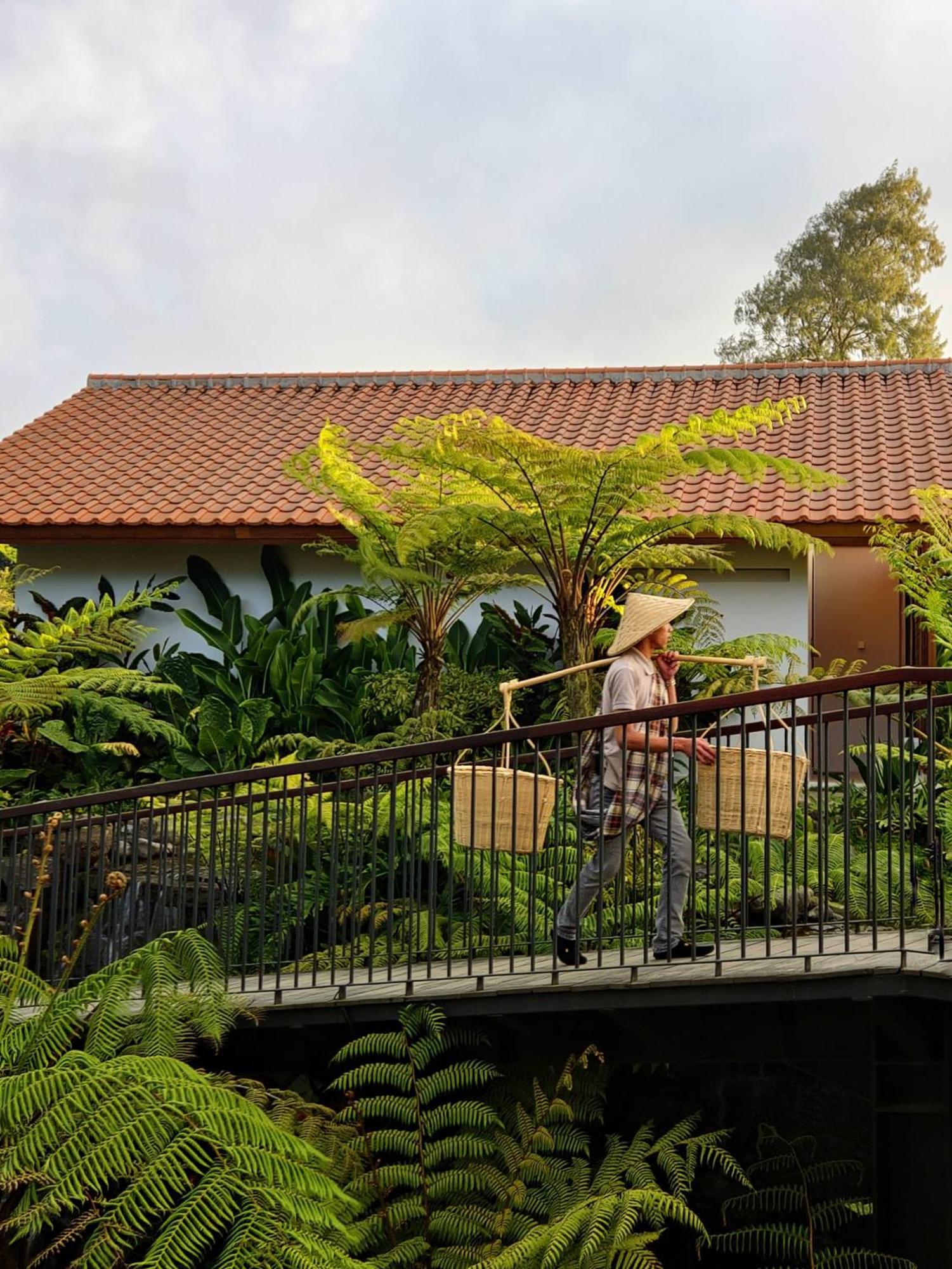 Hotel Dusun Bedugul Asri Exterior foto